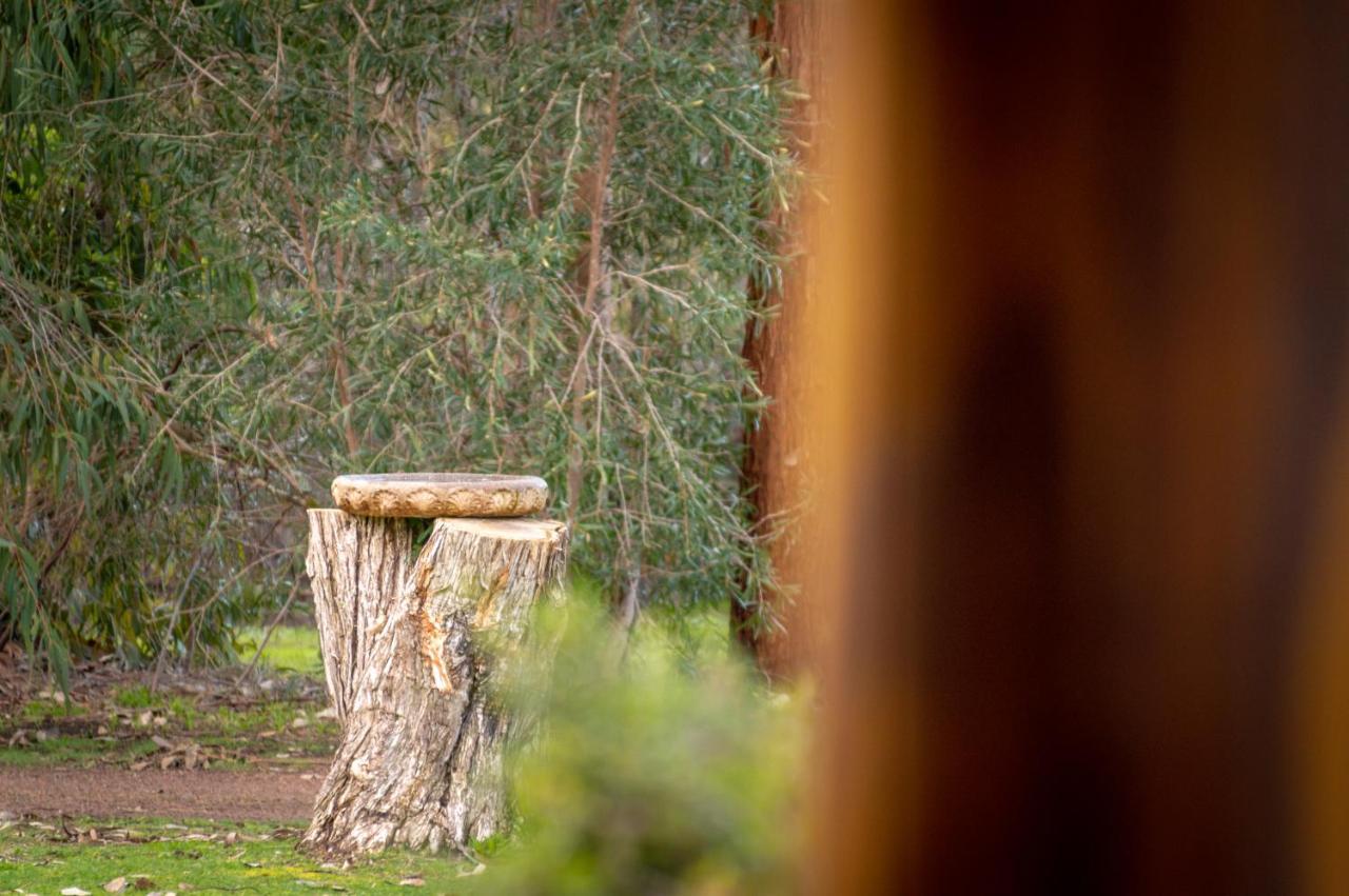 Margaret River Chalets Bagian luar foto