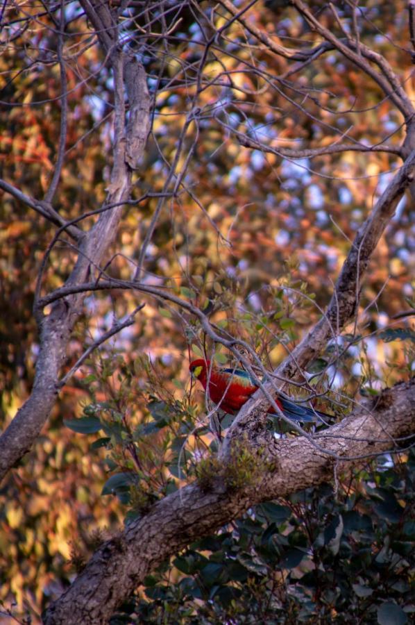 Margaret River Chalets Bagian luar foto