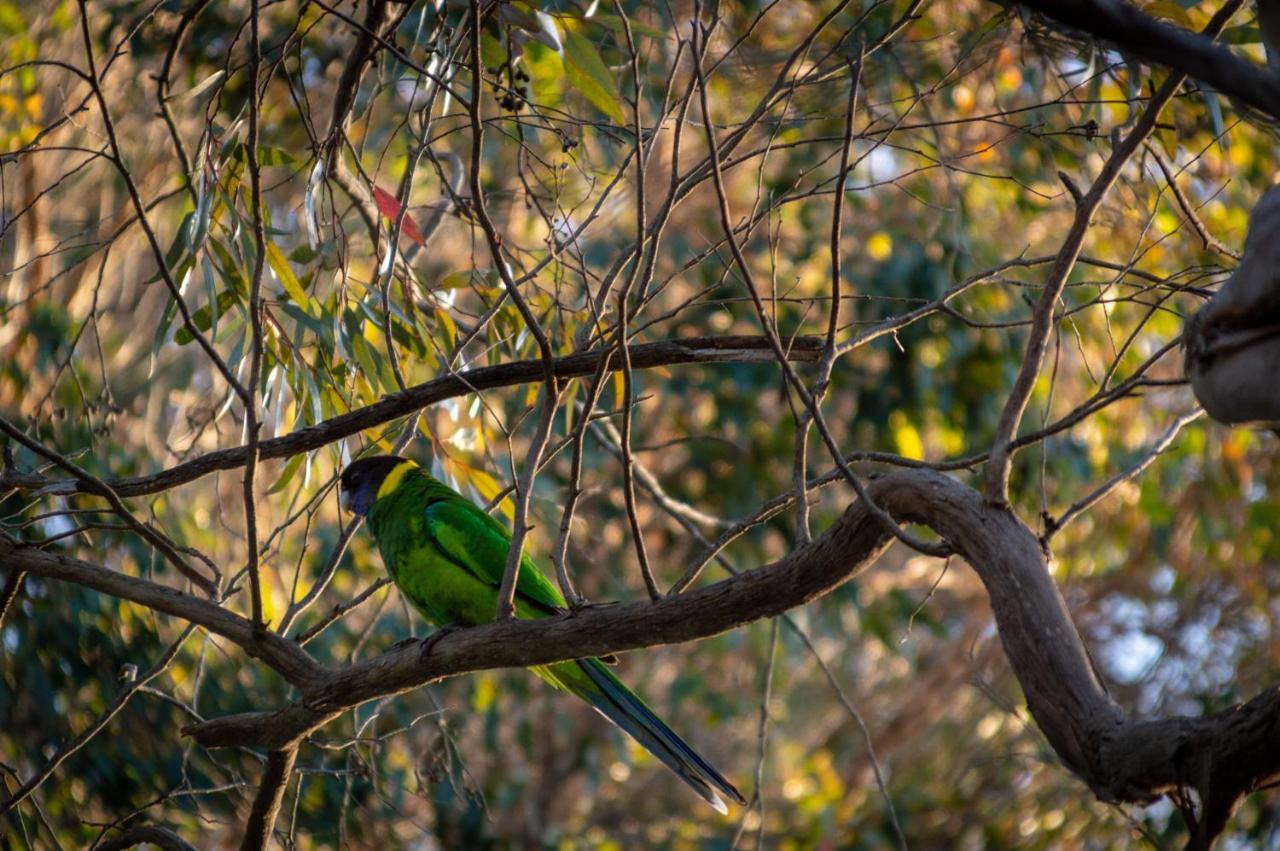 Margaret River Chalets Bagian luar foto